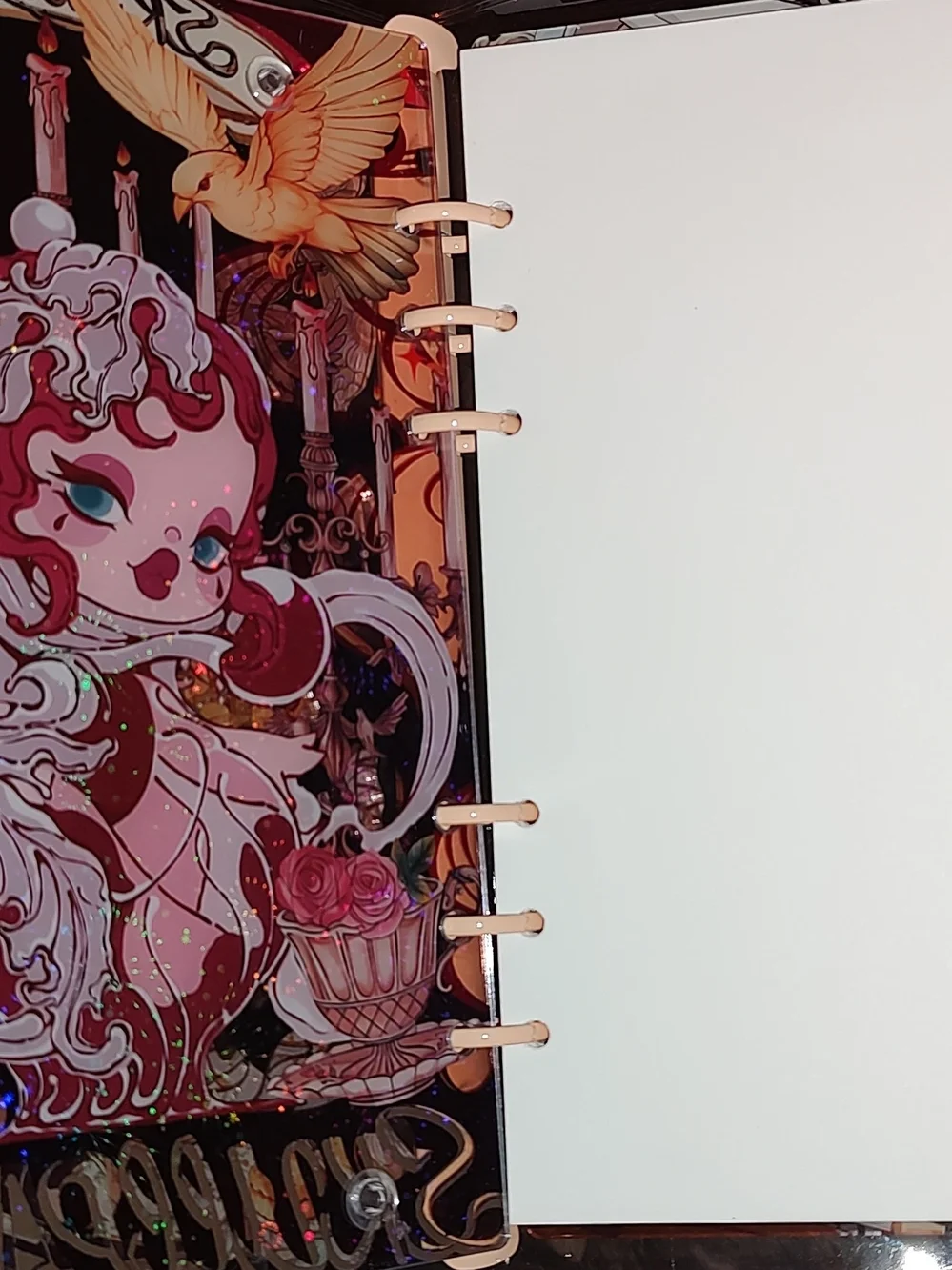 New! A5 Size Skull Panda Acrylic Shaker Notebook